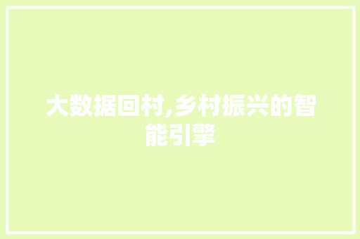 大数据回村,乡村振兴的智能引擎