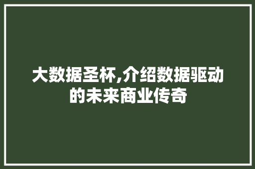 大数据圣杯,介绍数据驱动的未来商业传奇
