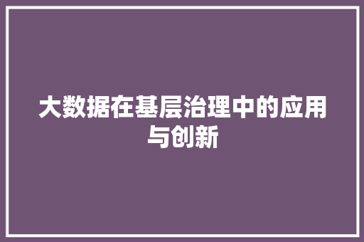 大数据在基层治理中的应用与创新 神马SEO