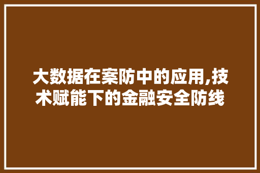 大数据在案防中的应用,技术赋能下的金融安全防线 神马SEO