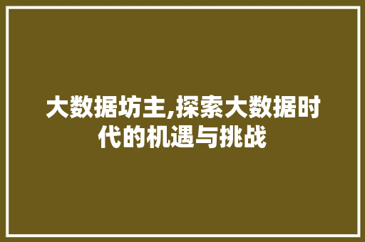 大数据坊主,探索大数据时代的机遇与挑战