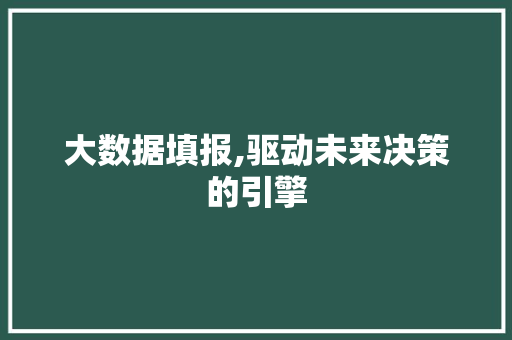 大数据填报,驱动未来决策的引擎