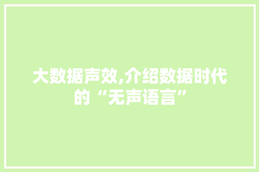 大数据声效,介绍数据时代的“无声语言” GoogleSEO