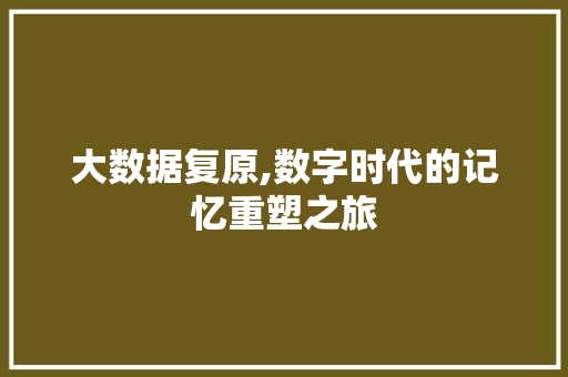 大数据复原,数字时代的记忆重塑之旅 必应SEO