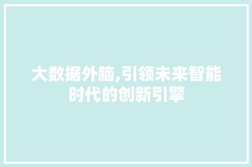大数据外脑,引领未来智能时代的创新引擎 神马SEO