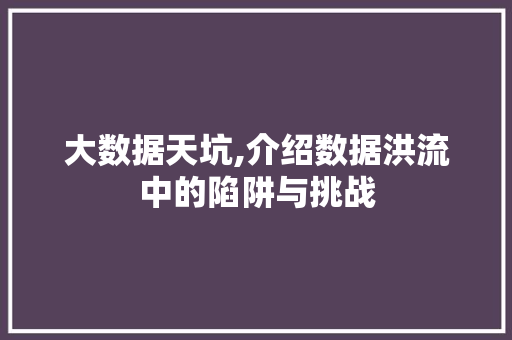 大数据天坑,介绍数据洪流中的陷阱与挑战 神马SEO