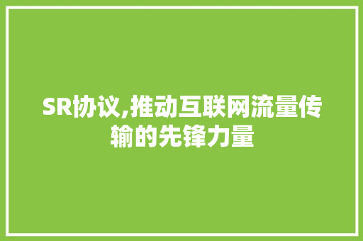 SR协议,推动互联网流量传输的先锋力量 必应SEO