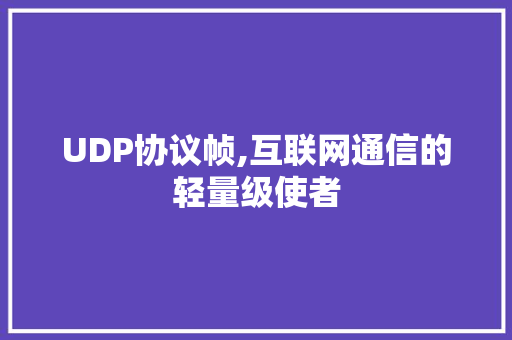 UDP协议帧,互联网通信的轻量级使者 GoogleSEO