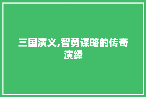 三国演义,智勇谋略的传奇演绎 百度SEO