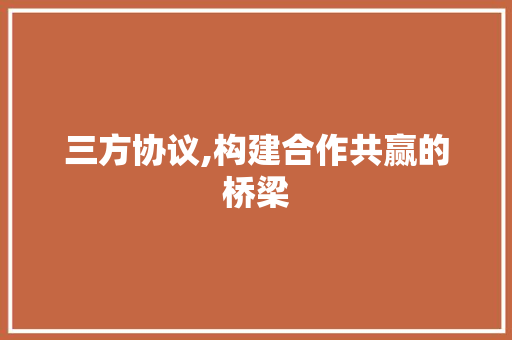 三方协议,构建合作共赢的桥梁 神马SEO