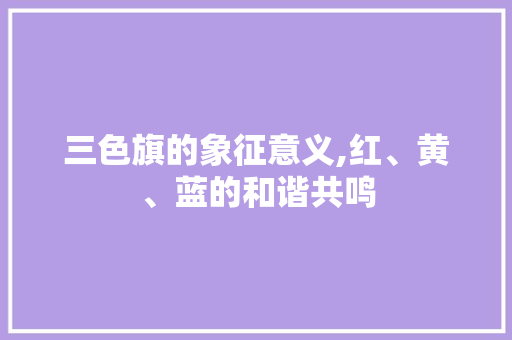 三色旗的象征意义,红、黄、蓝的和谐共鸣 必应SEO