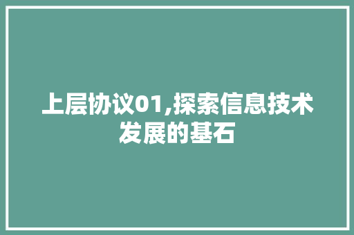 上层协议01,探索信息技术发展的基石 搜狗SEO