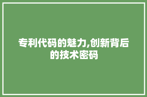 专利代码的魅力,创新背后的技术密码