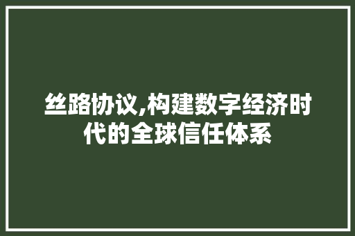 丝路协议,构建数字经济时代的全球信任体系 GoogleSEO