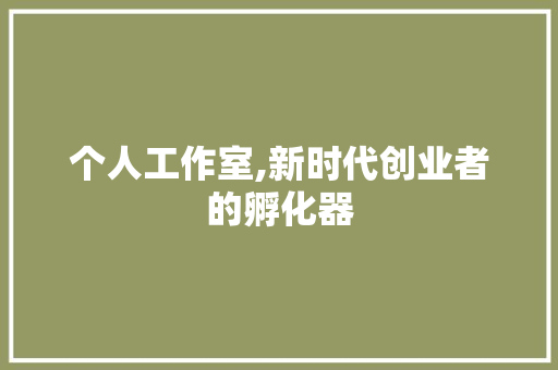 个人工作室,新时代创业者的孵化器 百度SEO