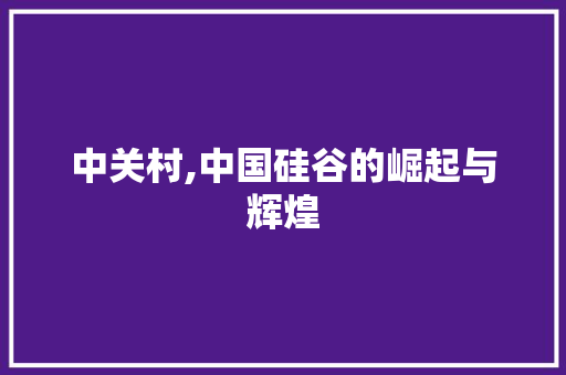 中关村,中国硅谷的崛起与辉煌
