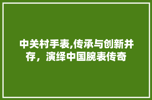 中关村手表,传承与创新并存，演绎中国腕表传奇