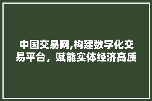 中国交易网,构建数字化交易平台，赋能实体经济高质量发展