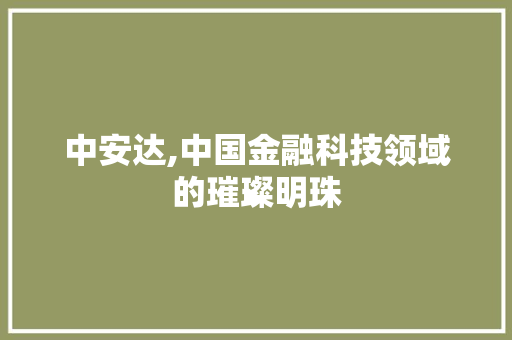 中安达,中国金融科技领域的璀璨明珠
