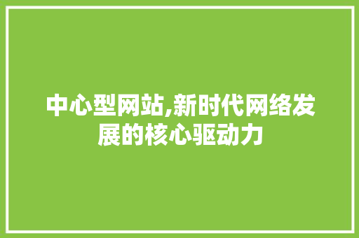 中心型网站,新时代网络发展的核心驱动力