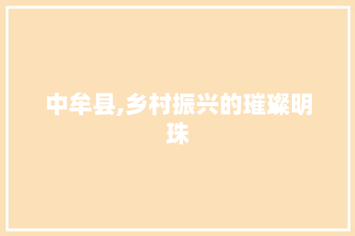 中牟县,乡村振兴的璀璨明珠 神马SEO