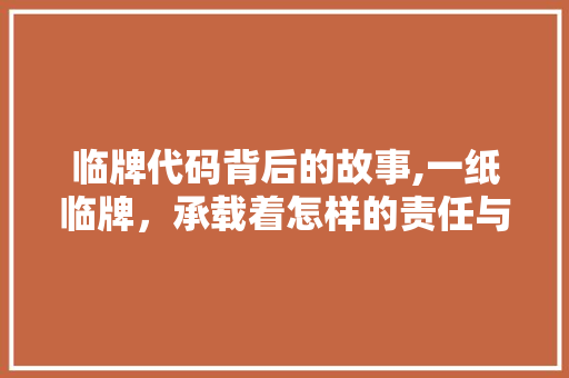 临牌代码背后的故事,一纸临牌，承载着怎样的责任与期待