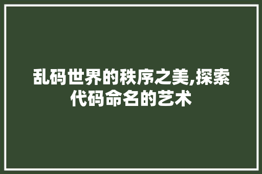乱码世界的秩序之美,探索代码命名的艺术