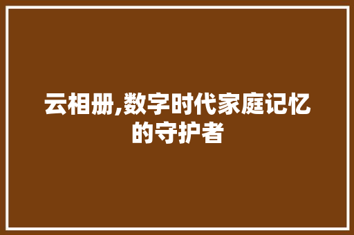 云相册,数字时代家庭记忆的守护者 百度SEO