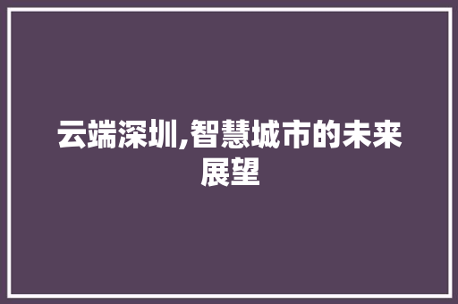 云端深圳,智慧城市的未来展望 百度SEO
