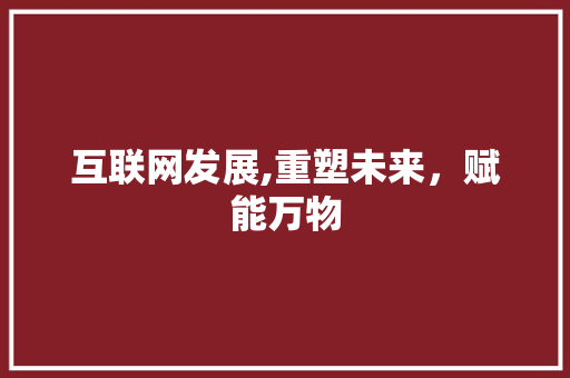 互联网发展,重塑未来，赋能万物