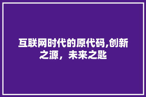 互联网时代的原代码,创新之源，未来之匙