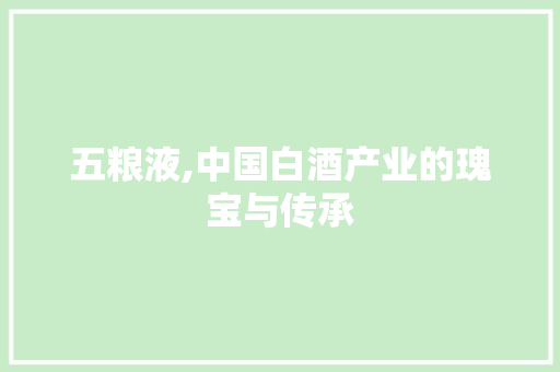 五粮液,中国白酒产业的瑰宝与传承 必应SEO