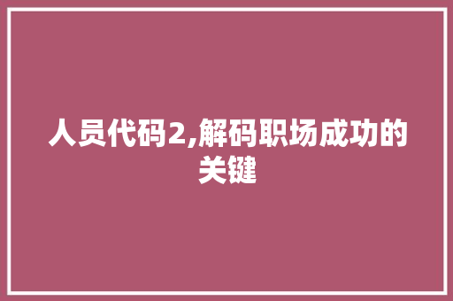 人员代码2,解码职场成功的关键