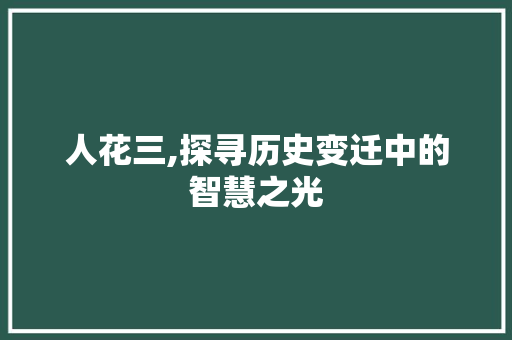 人花三,探寻历史变迁中的智慧之光