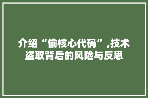 介绍“偷核心代码”,技术盗取背后的风险与反思