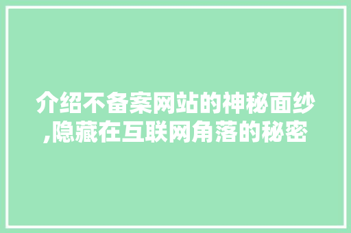 介绍不备案网站的神秘面纱,隐藏在互联网角落的秘密世界