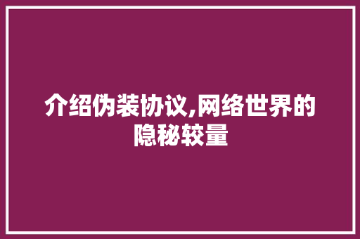 介绍伪装协议,网络世界的隐秘较量