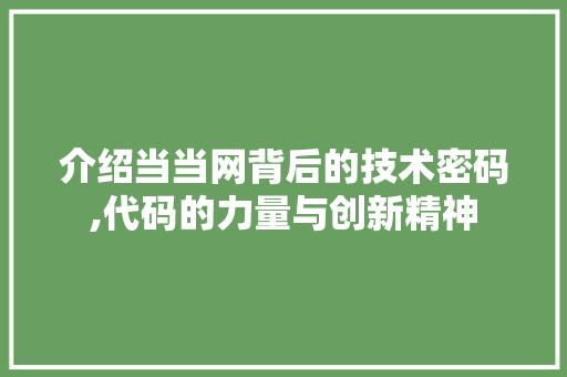 介绍当当网背后的技术密码,代码的力量与创新精神