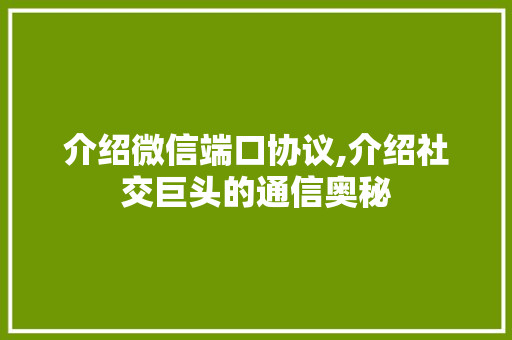 介绍微信端口协议,介绍社交巨头的通信奥秘 百度SEO