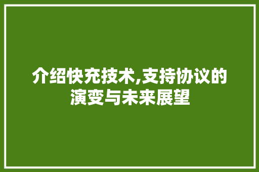 介绍快充技术,支持协议的演变与未来展望 神马SEO
