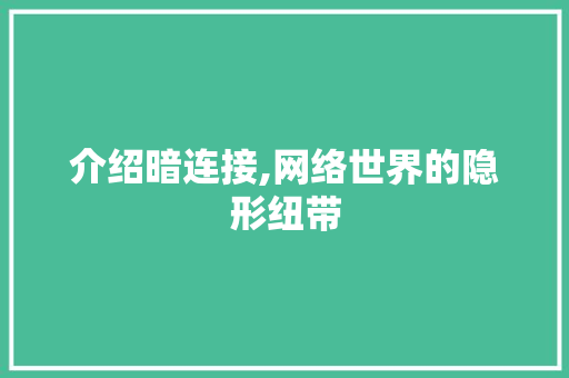 介绍暗连接,网络世界的隐形纽带