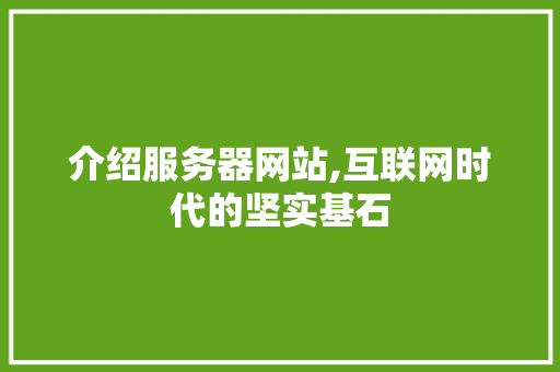 介绍服务器网站,互联网时代的坚实基石