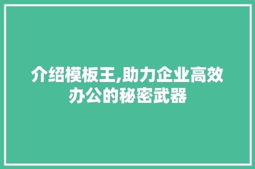 介绍模板王,助力企业高效办公的秘密武器 GoogleSEO