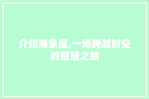 介绍海象屋,一场跨越时空的智慧之旅