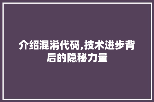 介绍混淆代码,技术进步背后的隐秘力量 GoogleSEO