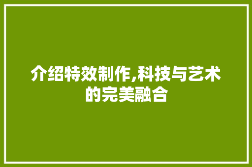 介绍特效制作,科技与艺术的完美融合 神马SEO