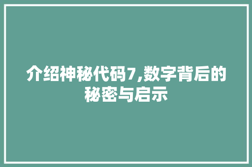 介绍神秘代码7,数字背后的秘密与启示 百度SEO