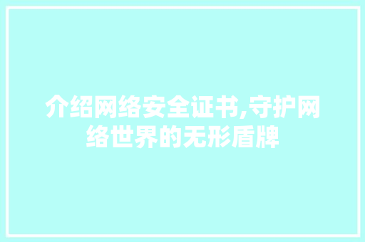 介绍网络安全证书,守护网络世界的无形盾牌 神马SEO