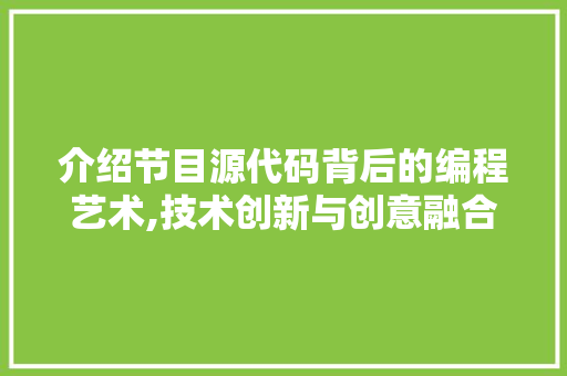 介绍节目源代码背后的编程艺术,技术创新与创意融合