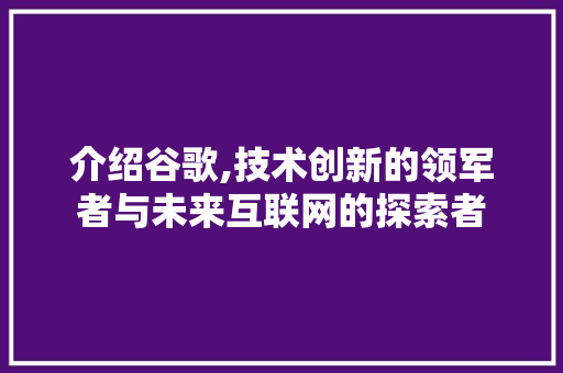 介绍谷歌,技术创新的领军者与未来互联网的探索者